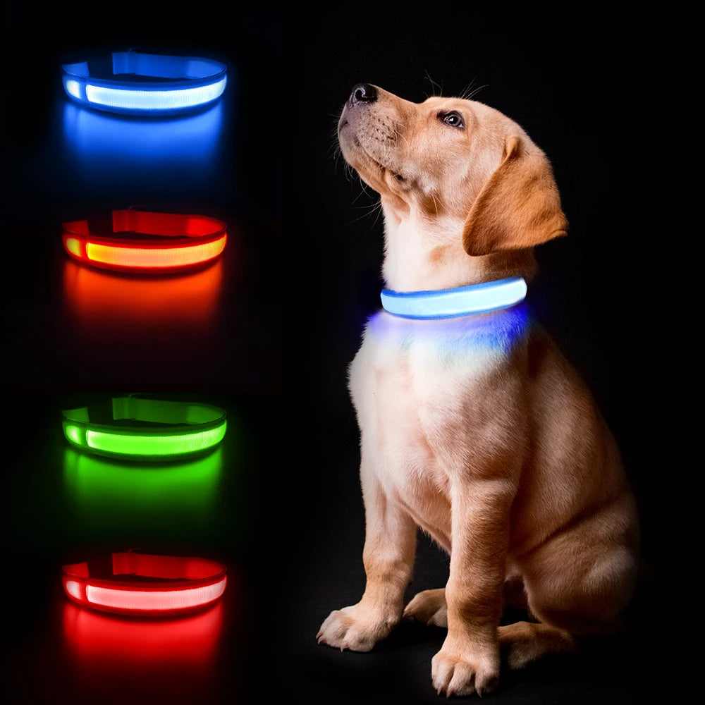 Dog Collar Luminous Pet Supplies Dog Collar - Your Best Outdoor Shop