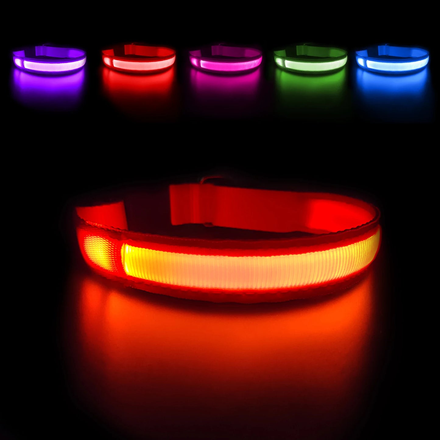 Dog Collar Luminous Pet Supplies Dog Collar - Your Best Outdoor Shop