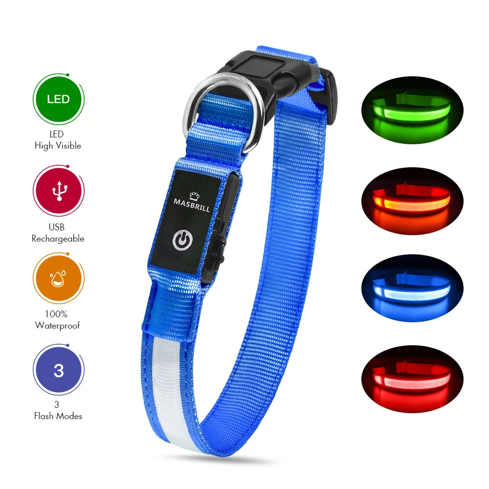 Dog Collar Luminous Pet Supplies Dog Collar - Your Best Outdoor Shop