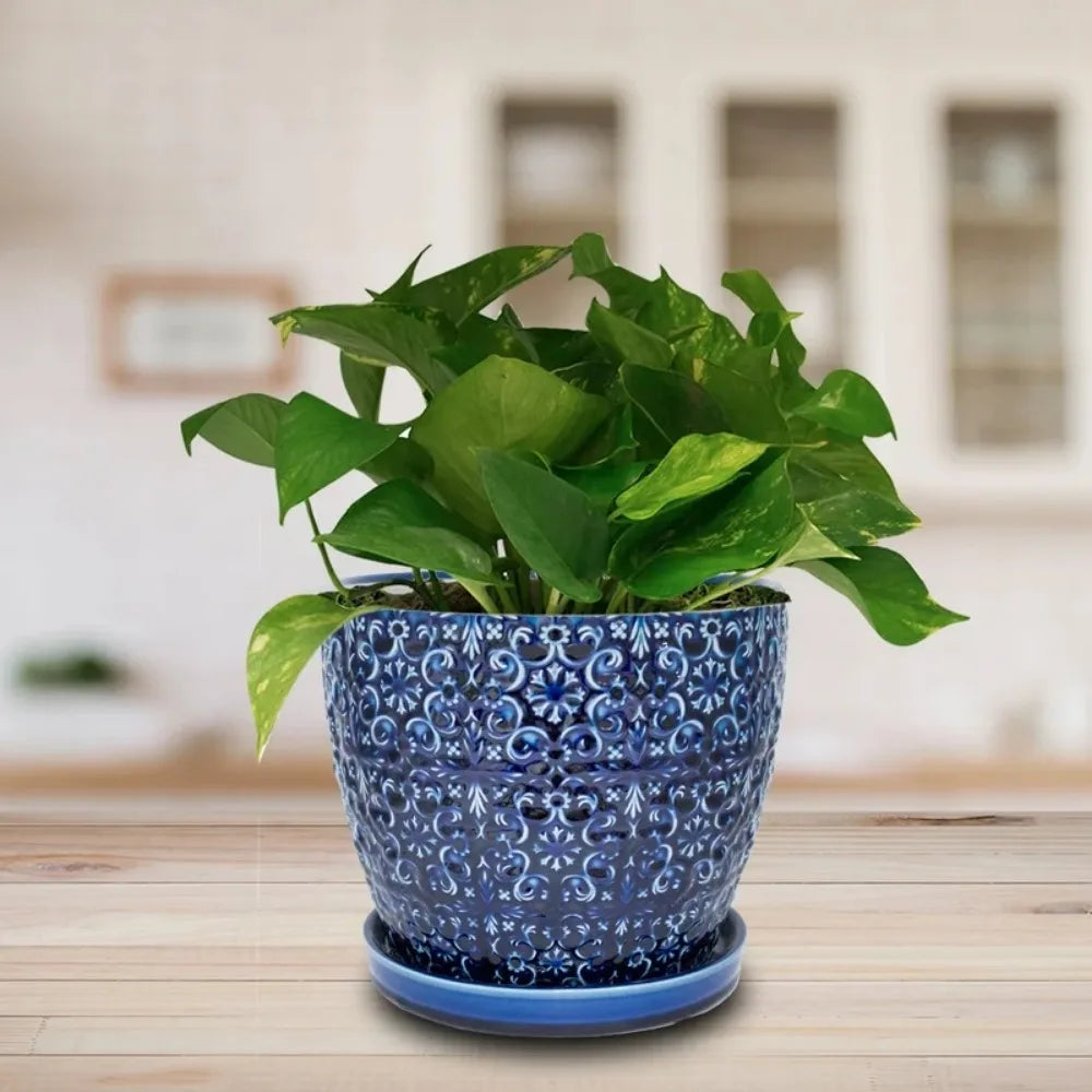 Home Decorations Round Blue Ceramic Planter Flowerpot - Your Best Outdoor Shop