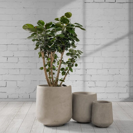 Vase Large Outdoor Indoor Planter Pots - Your Best Outdoor Shop