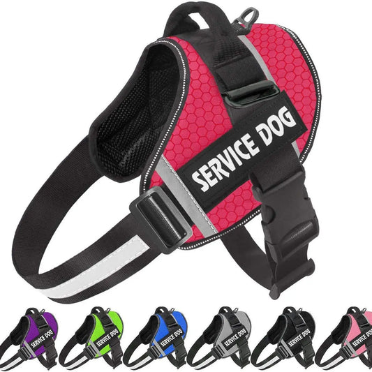 Personalized French Bulldog Harness